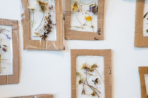 geknutselde lijsten met gedroogde bloemen