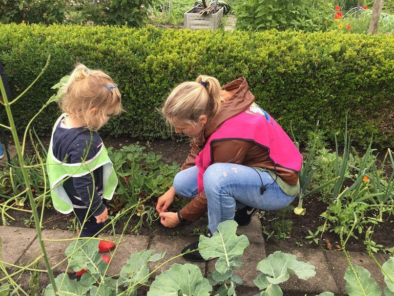 aardbeien plukken met pedagogisch professional
