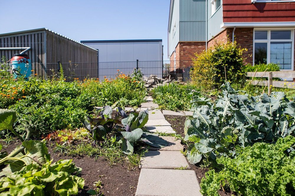 moestuin in Oosthuizen