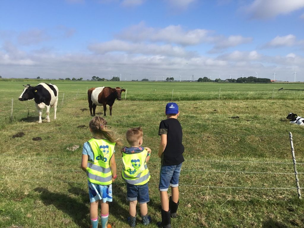 kinderen kijken naar wei met koeien